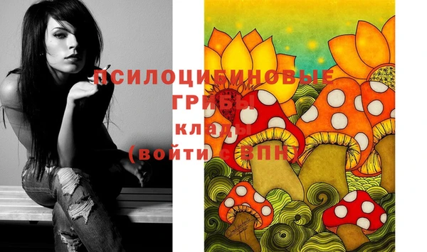 mdpv Куйбышев