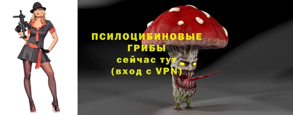 mdma Кукмор