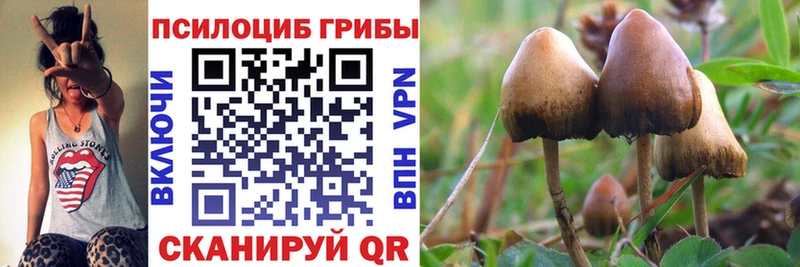 Галлюциногенные грибы мицелий  купить наркоту  Советск 