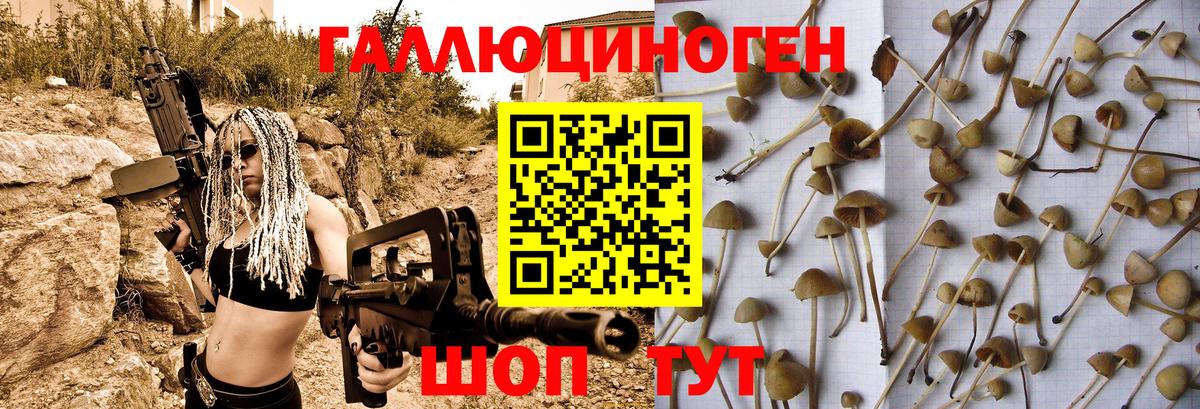 ГАШИШ  Cocaine  Где купить наркотики?  Советск  Каннабис  Вейп ТГК  Вход с VPN  ЭКСТАЗИ  Мефедрон   АМФЕТАМИН кристаллы  ГАШ  Alpha-PVP СК   NBOMe 